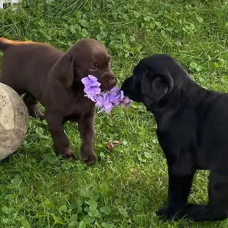En Smuk Og Charmerende Oase Meget Taet Pa Centrum! Lägenhet *