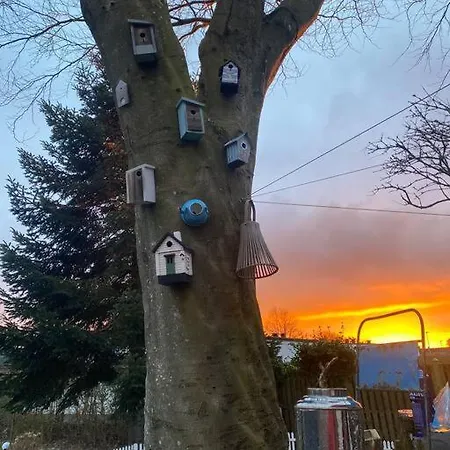 En Smuk Og Charmerende Oase Meget Taet Pa Centrum! Holstebro