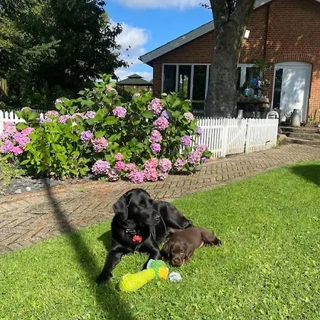 Lägenhet En Smuk Og Charmerende Oase Meget Taet Pa Centrum! *