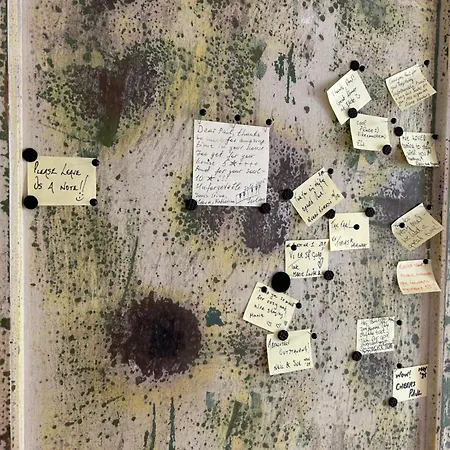 Lägenhet En Smuk Og Charmerende Oase Meget Taet Pa Centrum!