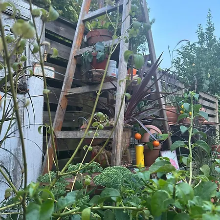 Lägenhet En Smuk Og Charmerende Oase Meget Taet Pa Centrum! Holstebro